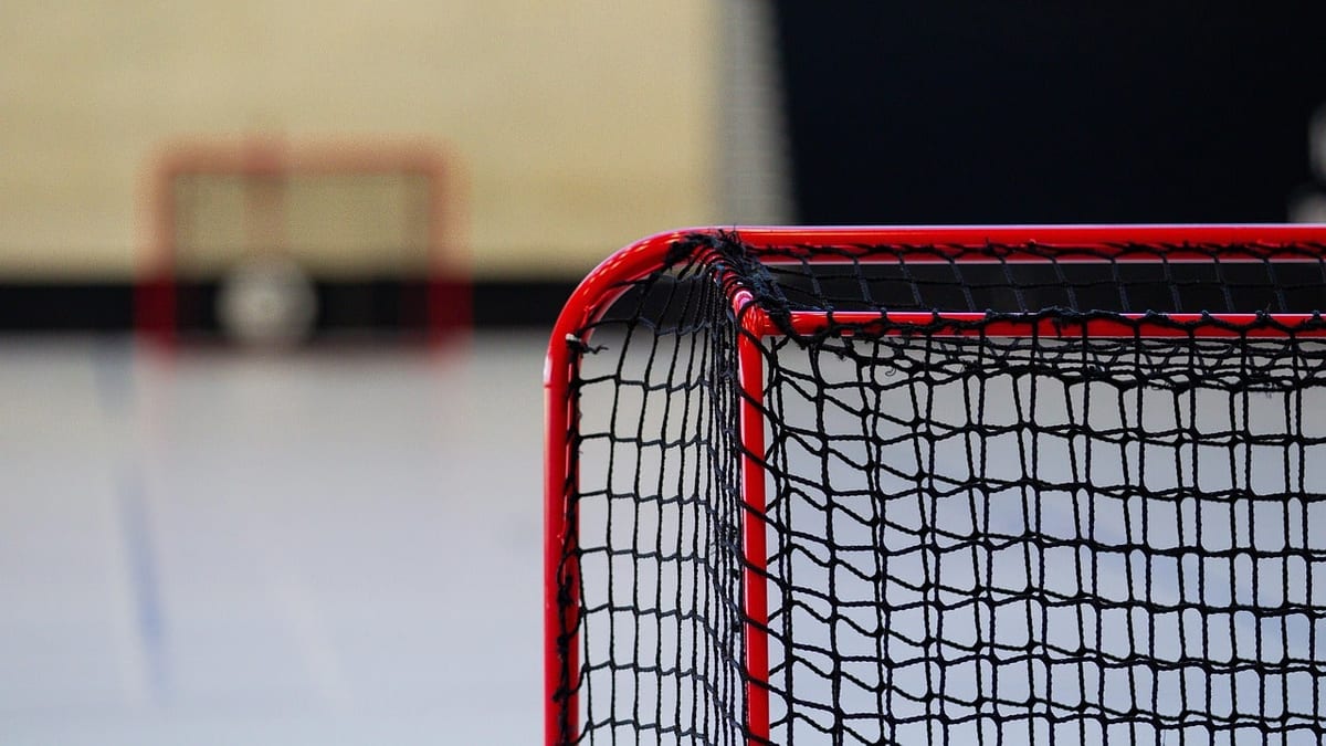 Ducks Sign Tristan Luneau to Six-Year, $43.2M Deal After Just 14 NHL Games