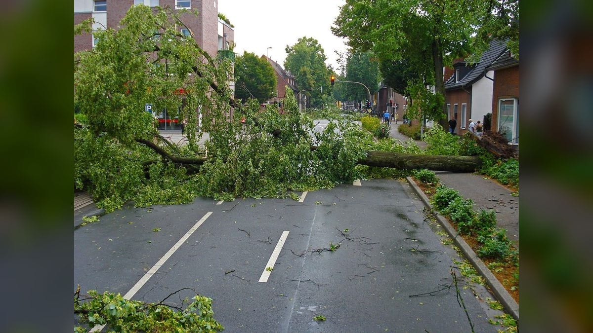 Small Tornado Hits Ulladulla on NSW South Coast, Damaging Homes and Toppling Trees